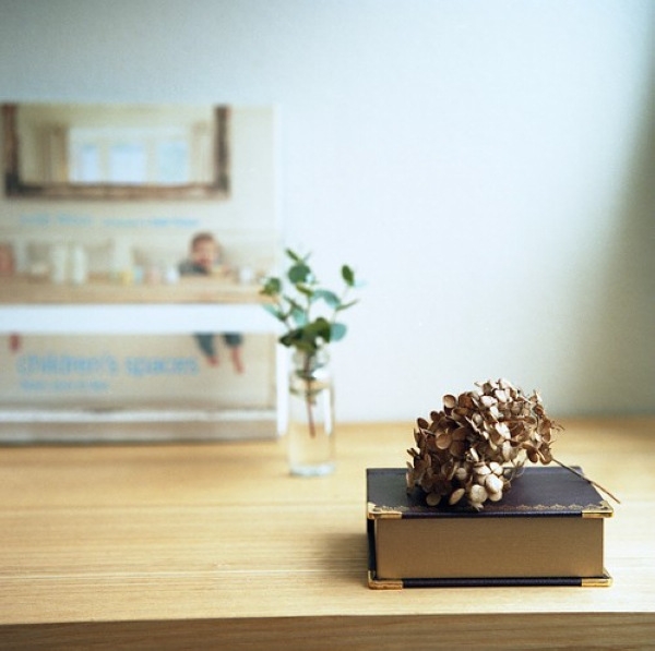 ���A��İ�Ȼ��ˇ����Ąe������