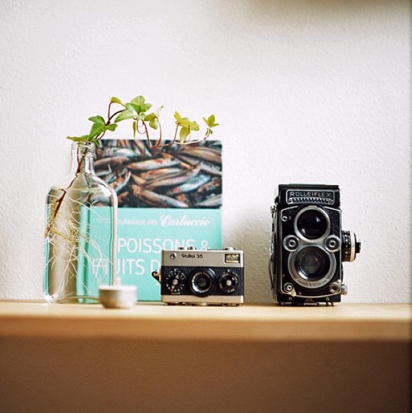 ���A��İ�Ȼ��ˇ����Ąe������