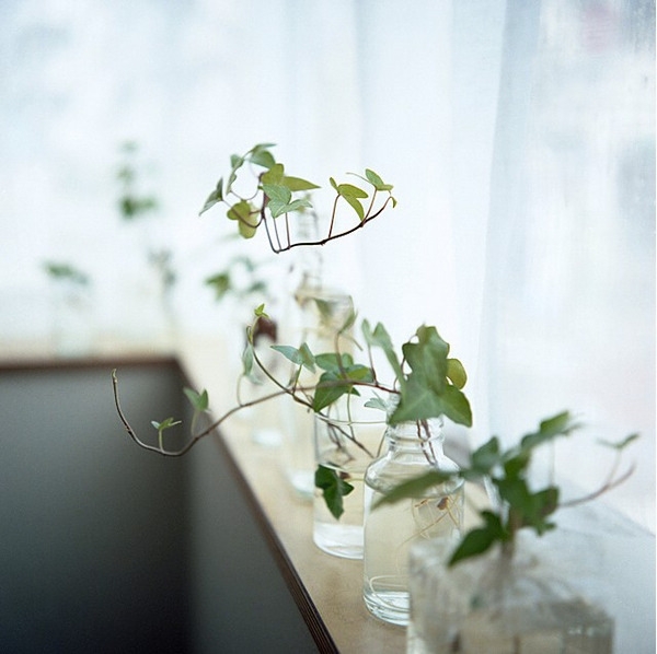 ���A��İ�Ȼ��ˇ����Ąe������