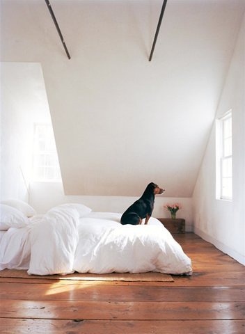 �L�����31���w���OӋ���p(1)