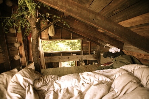 �L�����31���w���OӋ���p(3)