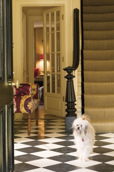 ��(f��)�Ł��u�����P��ذ����p(��)