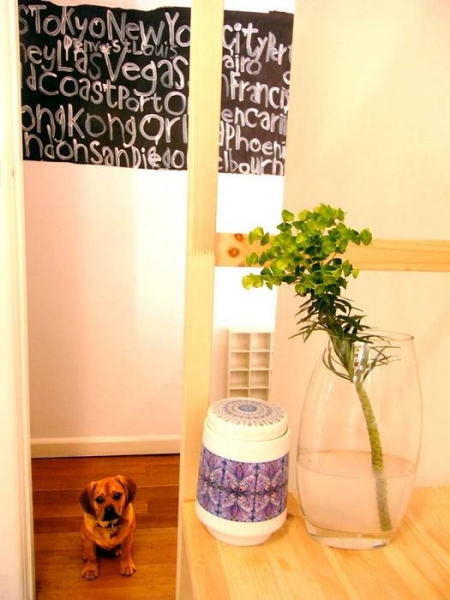 ɫ�ʼ��ʵ�ˇ�g(sh��)֮�һ���L(f��ng)��Ԣ