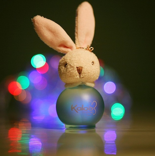 �Ȅ�������ϵȤζС���(��)