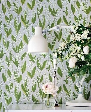 �G�ⰻȻС�w��ɫ����ġ������g