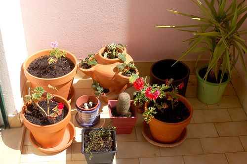 �L(f��ng)�м���������˵����¸C��(1)