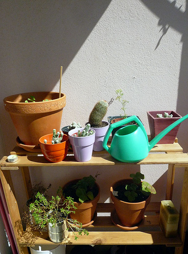 �L�м���������˵����¸C��(3)