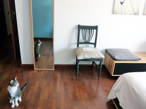 �L�м���������˵����¸C��(3)