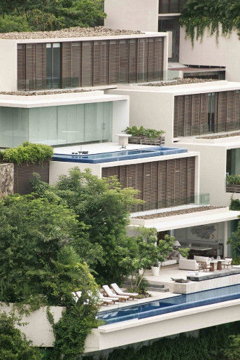 ʰ�����ϵ�ī����e��Ⱥ