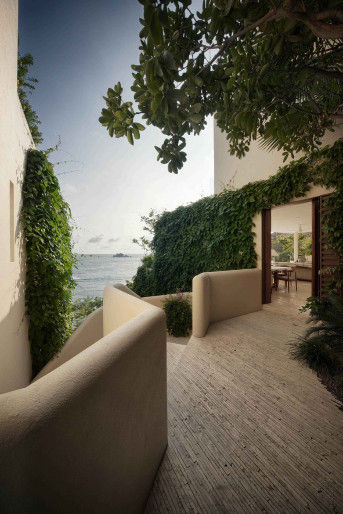 ʰ�����ϵ�ī����e��Ⱥ