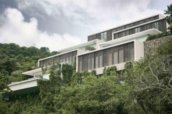 ʰ�����ϵ�ī����e��Ⱥ