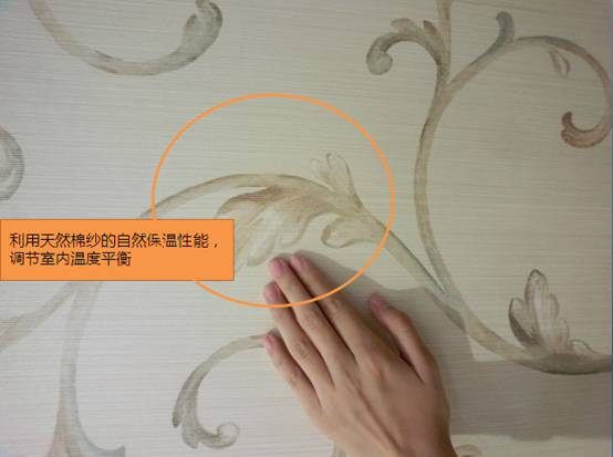 �ѵ�:���R������피����A�L(��)