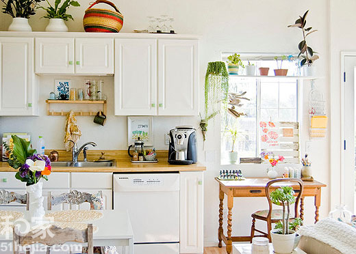 15個室內植物裝飾方案賞析(1)