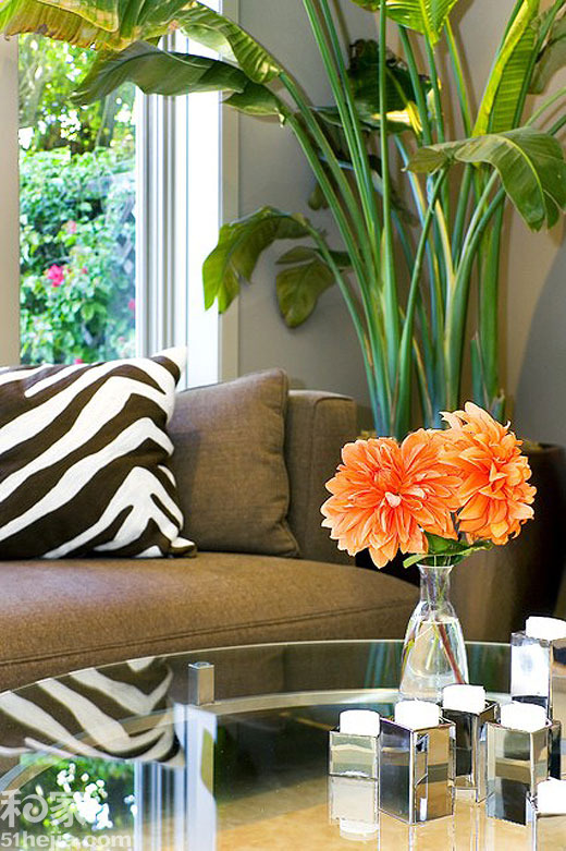 15���҃�(n��i)ֲ���b����p��(1)