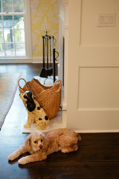 ͵���C���OӋ�����޷�����լ(��)