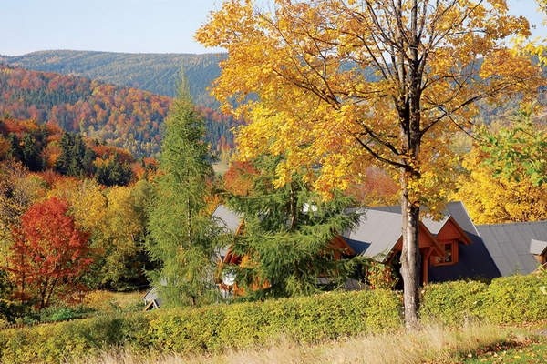 ������沨�m�����l�gС�e��(��)