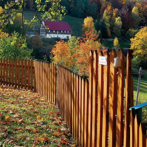 ������沨�m�����l�gС�e��(��)