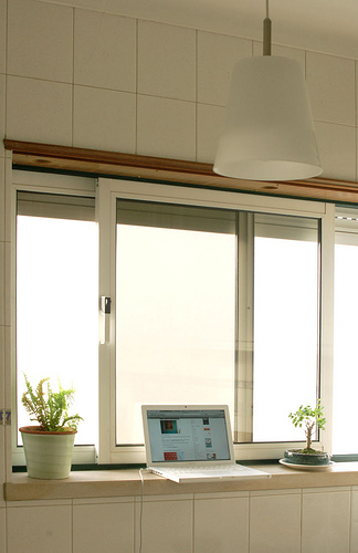 ��Gֲ����Ȼ����С����(2)