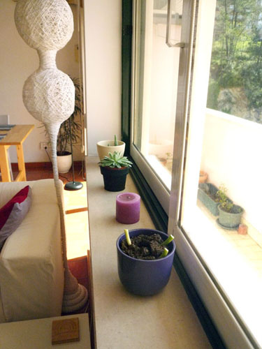 ��Gֲ����Ȼ����С����(2)