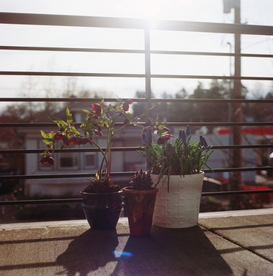 �c��ʳ����^���Ҿ����(ji��)��(��)