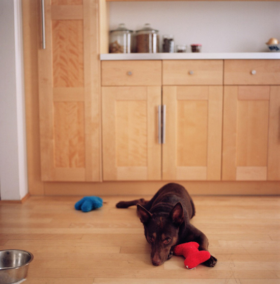 �c��ʳ����^���Ҿ������(��)