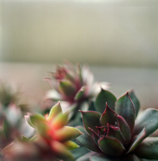 �c��ʳ����^���Ҿ������(��)