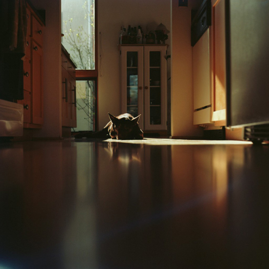 �c��ʳ����^���Ҿ������(��)