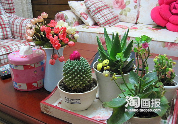 СŮ���Ĝ�ܰС��63ƽ2��2�d(2)