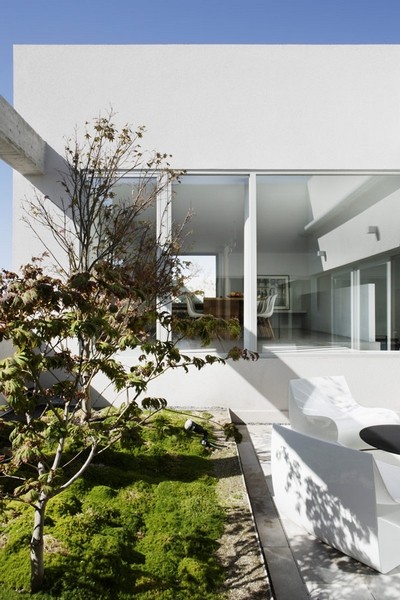 ���������������h����픹�Ԣ(��)