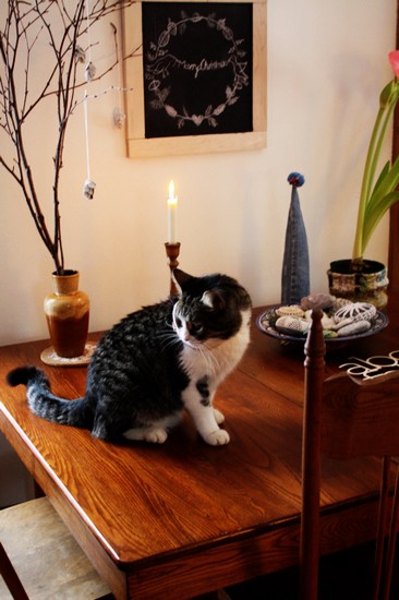 С����������ˇ���⻨�ӳ���