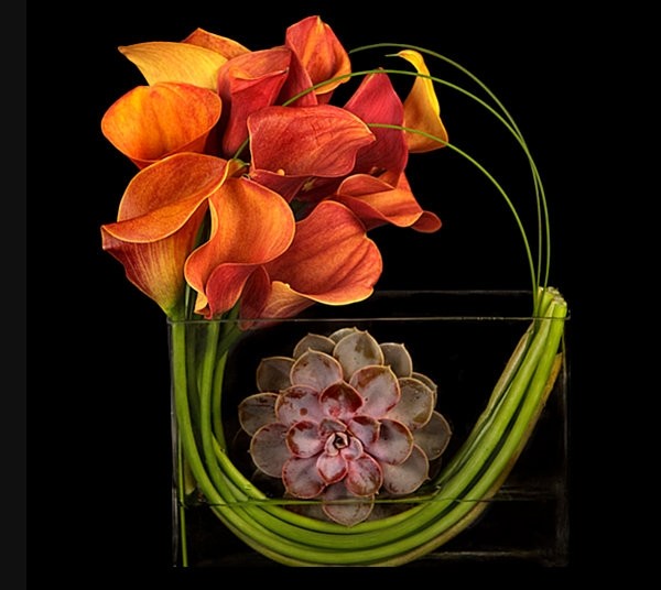 �ж���(ji��)�Ҿ��ɲ���(5)