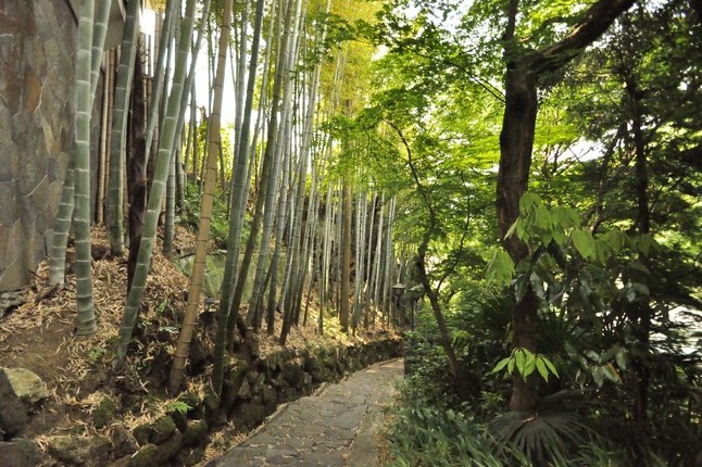 ����F��Ԫ�ص��ձ��vʷ��լ