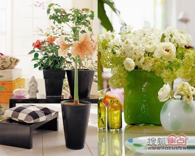 ������ԾGɫ�����}�ļҾ�