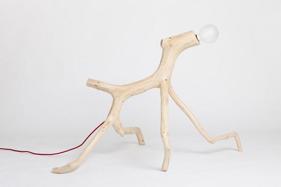 �����������ľ�Ɵ���