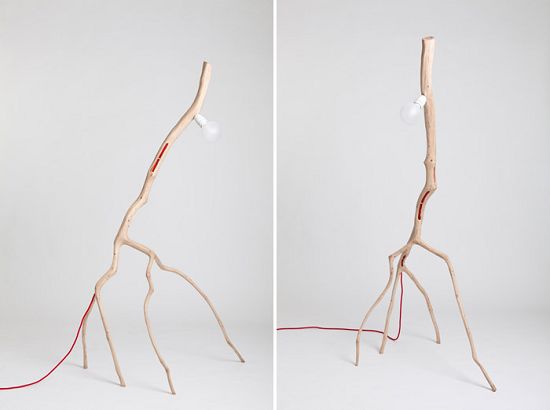 �����������ľ�Ɵ���