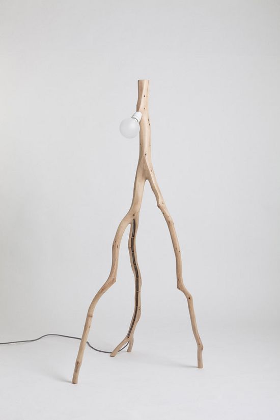 �����������ľ�Ɵ���