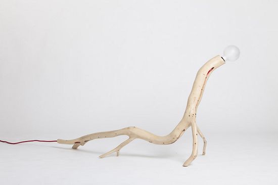 �����������ľ�Ɵ���