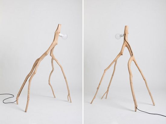 �����������ľ�Ɵ���