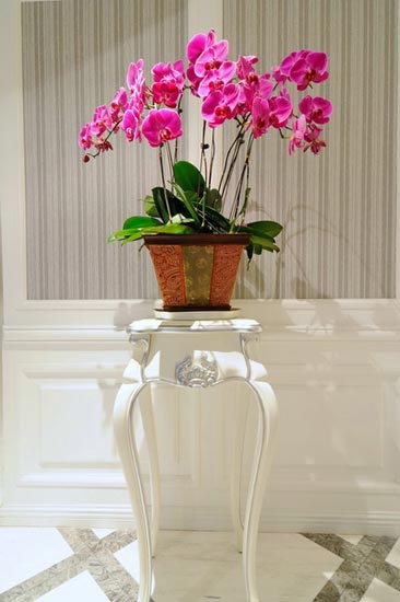 ���o�c�r�е��¹ŵ���b