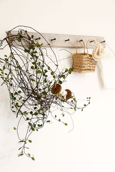 �\ɫ�ذ�����´�