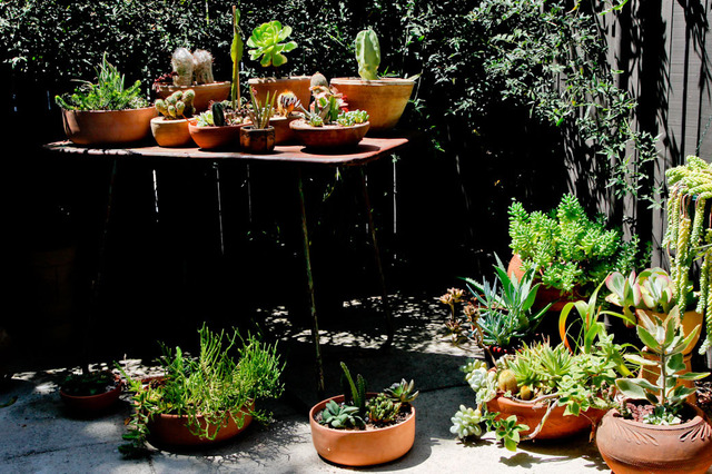 �f�Ǹ����M�`�л��ʽ��Ԣ