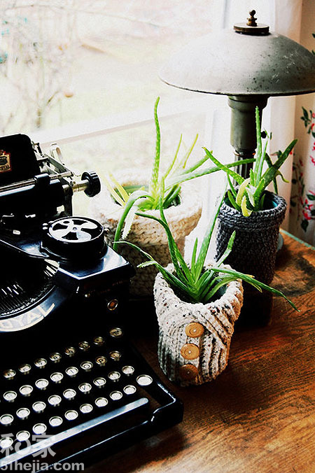 �b���ú��׷��硰ů�����տ͏d