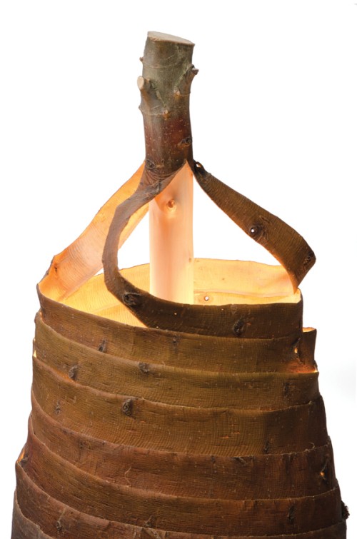 ��Ƥ����