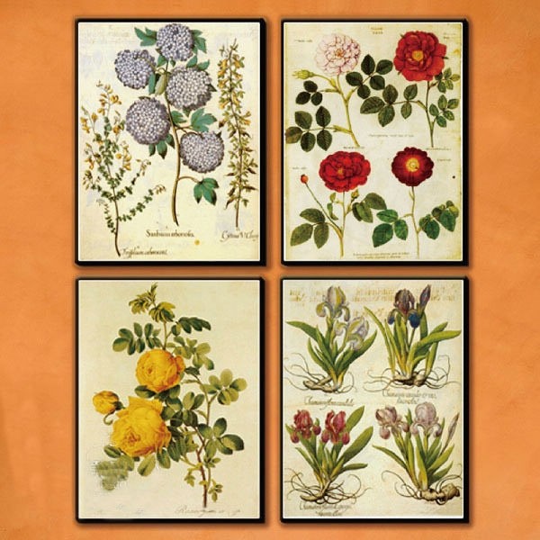 ����Ҿ���Ʒ���˱؂�