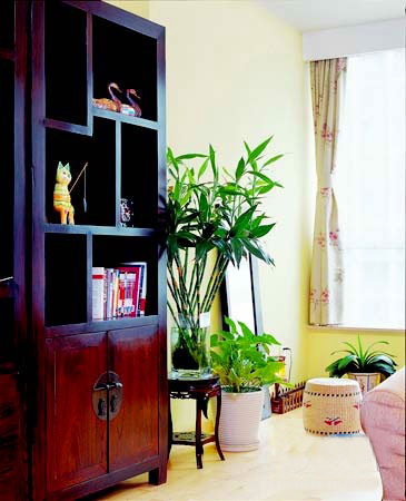 活色生香時尚東南亞小戶型