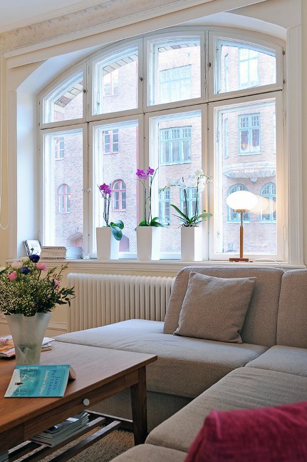 ����С���ҾӏN������һ�w