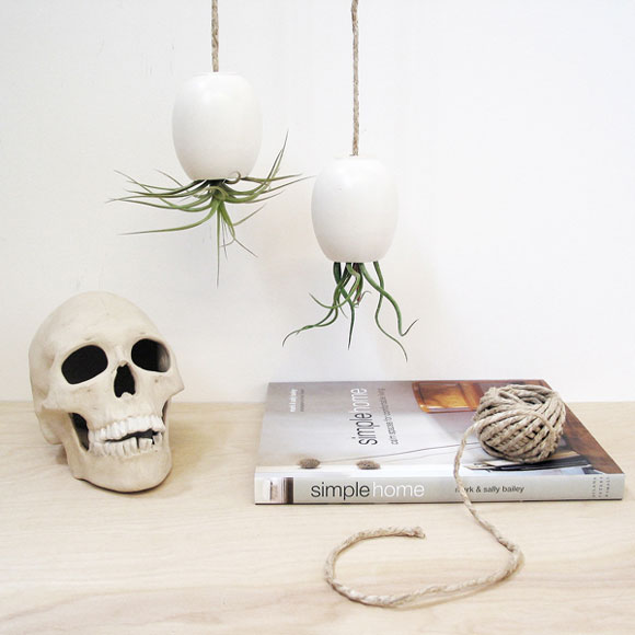 MichaelMcDowell�����л���