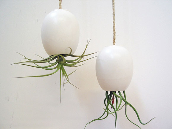 MichaelMcDowell�����л���