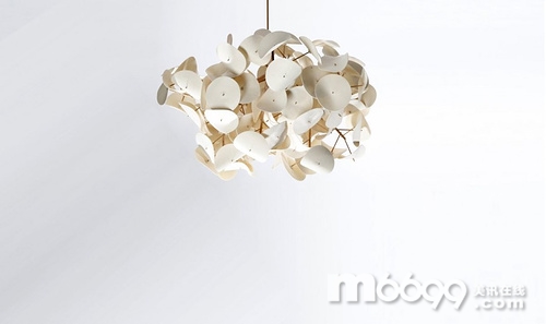 ���~����Ψ���OӋ