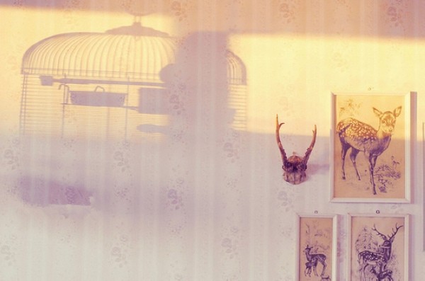 �ҵĜ�ůԴ�����õĬ���